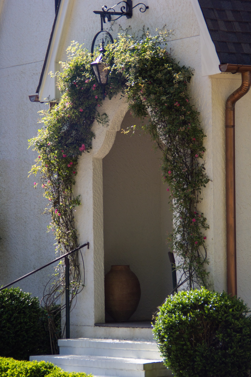 Floral design — rose archway entrance