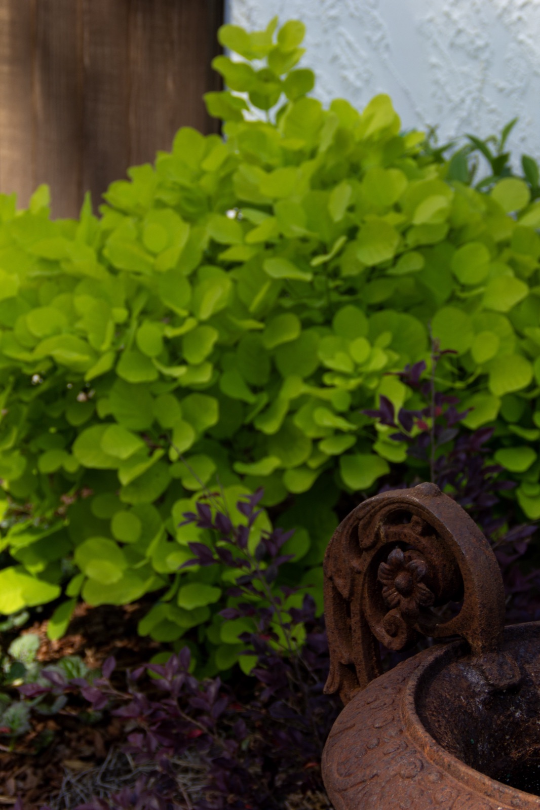 Show us your space — initial property assessment