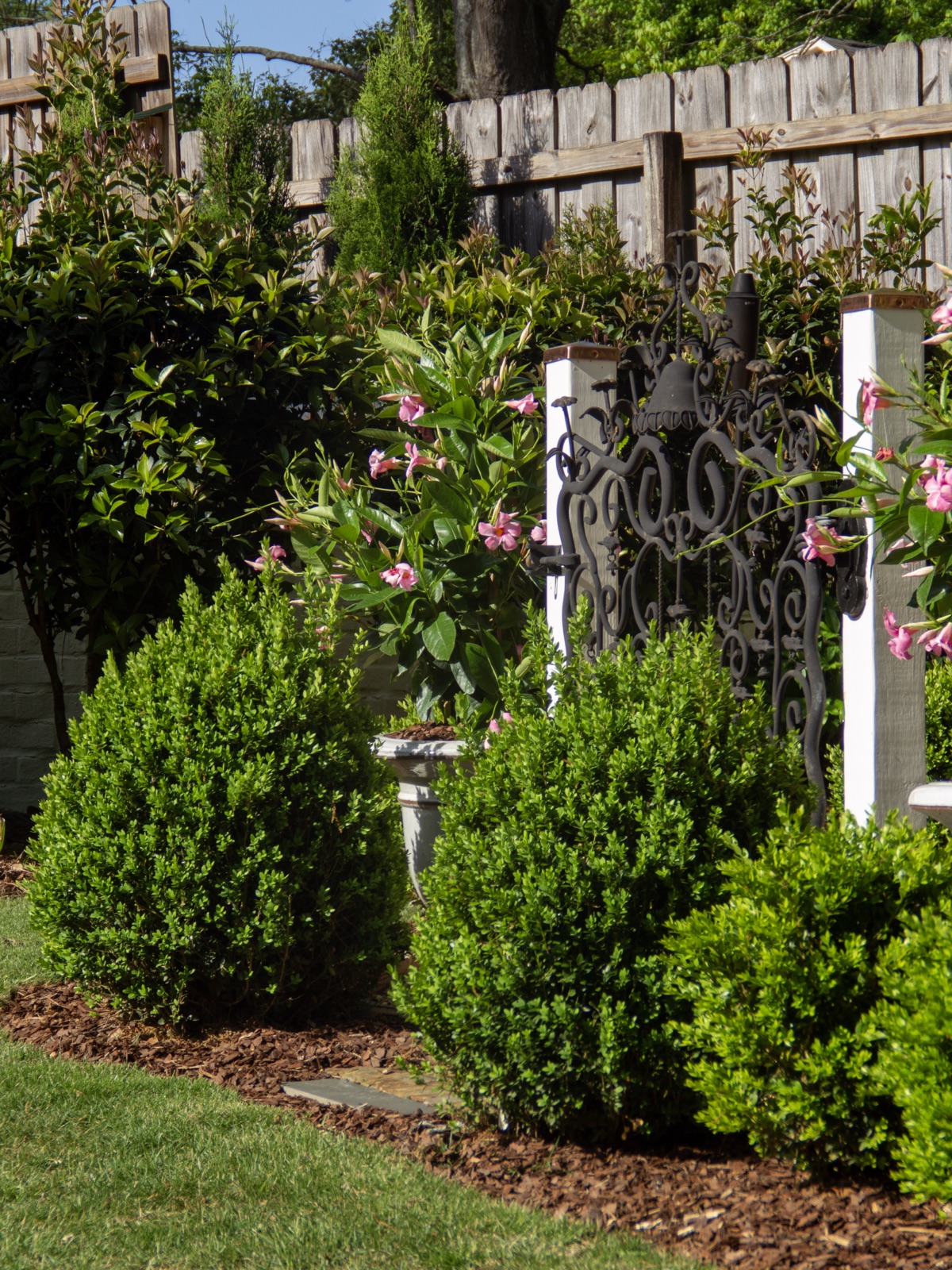 Custom iron gate with boxwood and flowering shrubs