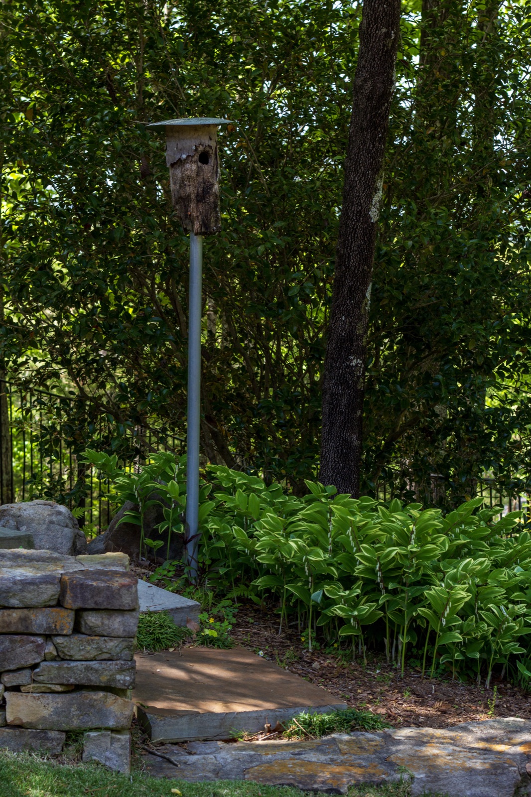 Pond installation with stone surround and water feature